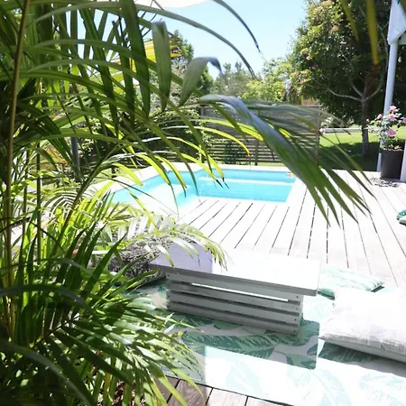 Lush Spacious Family Home Between Beach & Town Knysna Exterior photo